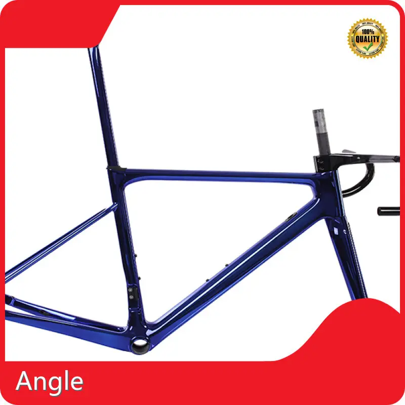 Road Frameset Mondince Brand 1