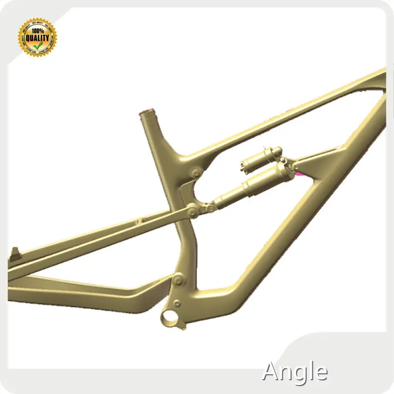 Carbon Mtb Frame Mondince Company 1