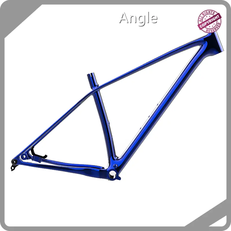 Carbon Bike Frame Mtb by Mondince 1
