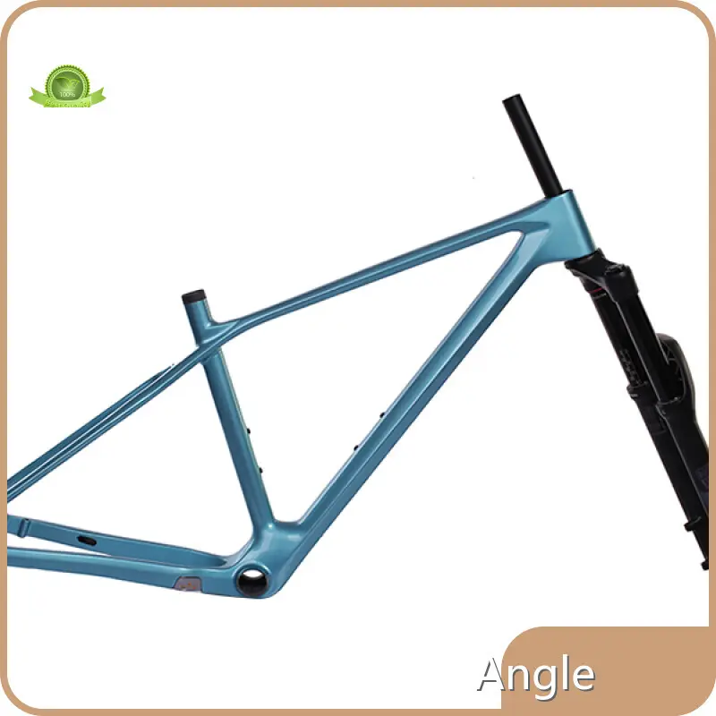Carbon Mtb Frames for Sale Mondince-1 1