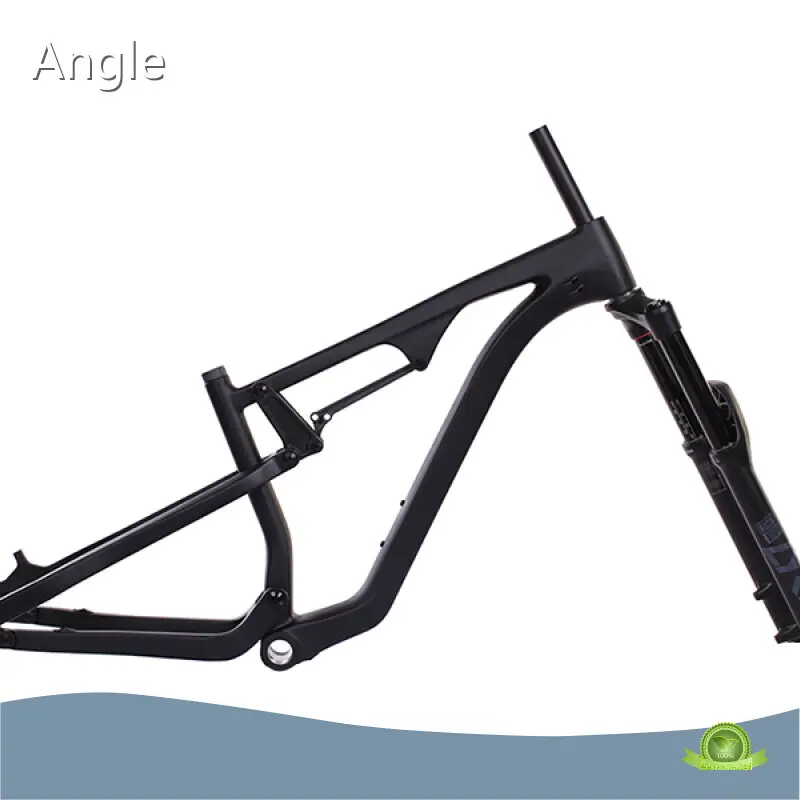 OEM Best Carbon Mtb Frame Mondince 1