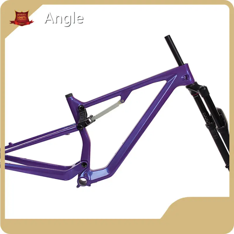 Mondince Brand Carbon Mountain Bike Frame Supplier 1