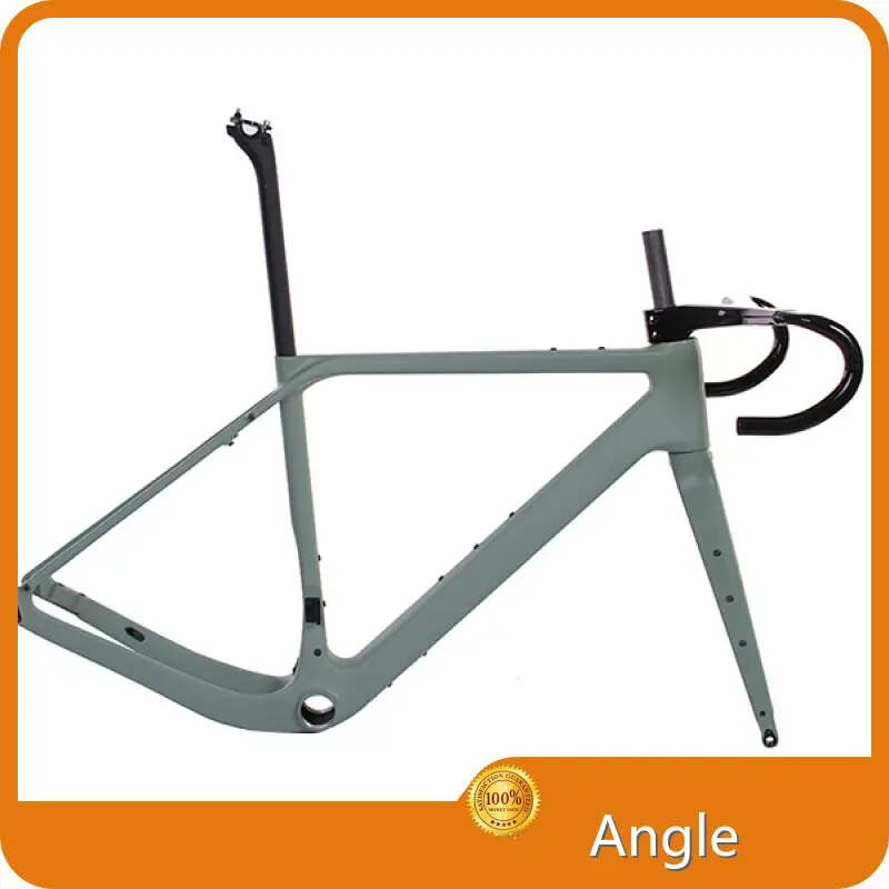 Gravel Bike Carbon Frame Mondince 1