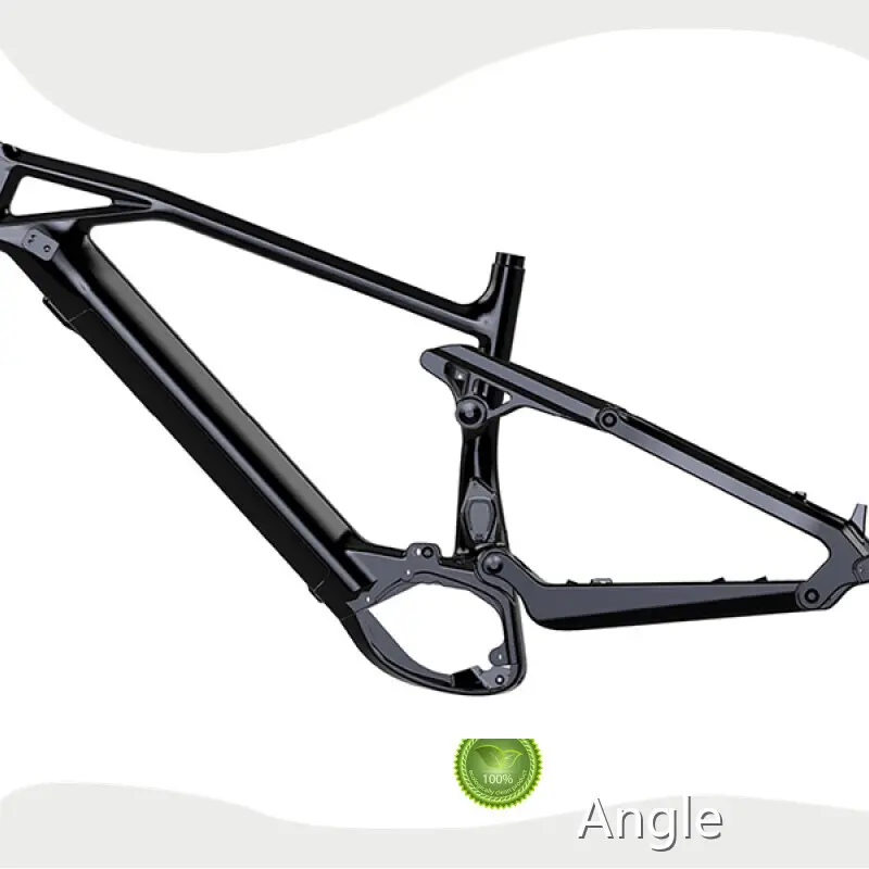 Electric Bicycle Frame Mondince 1