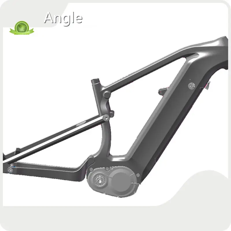 Custom Bike Frame for Electric Bike Mondince 1