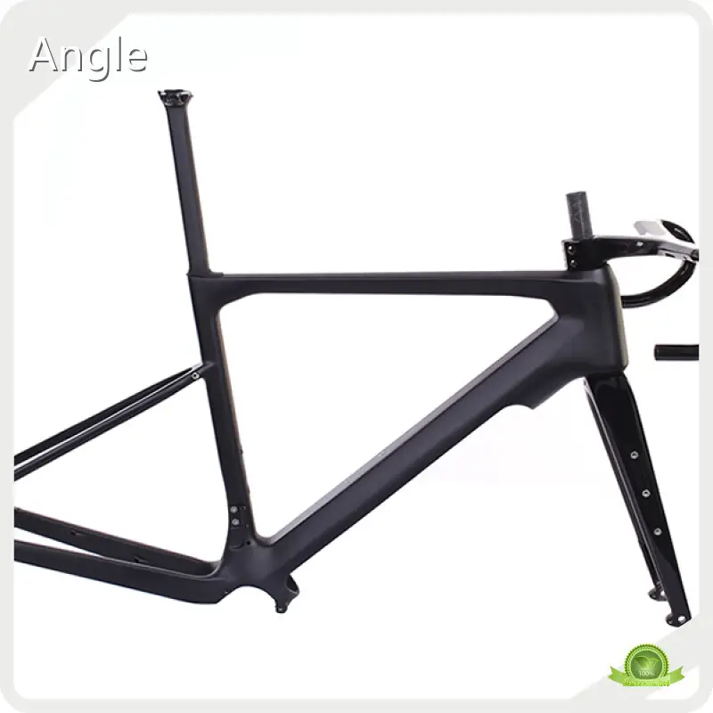 OEM Best Ebike Frame Mondince 1