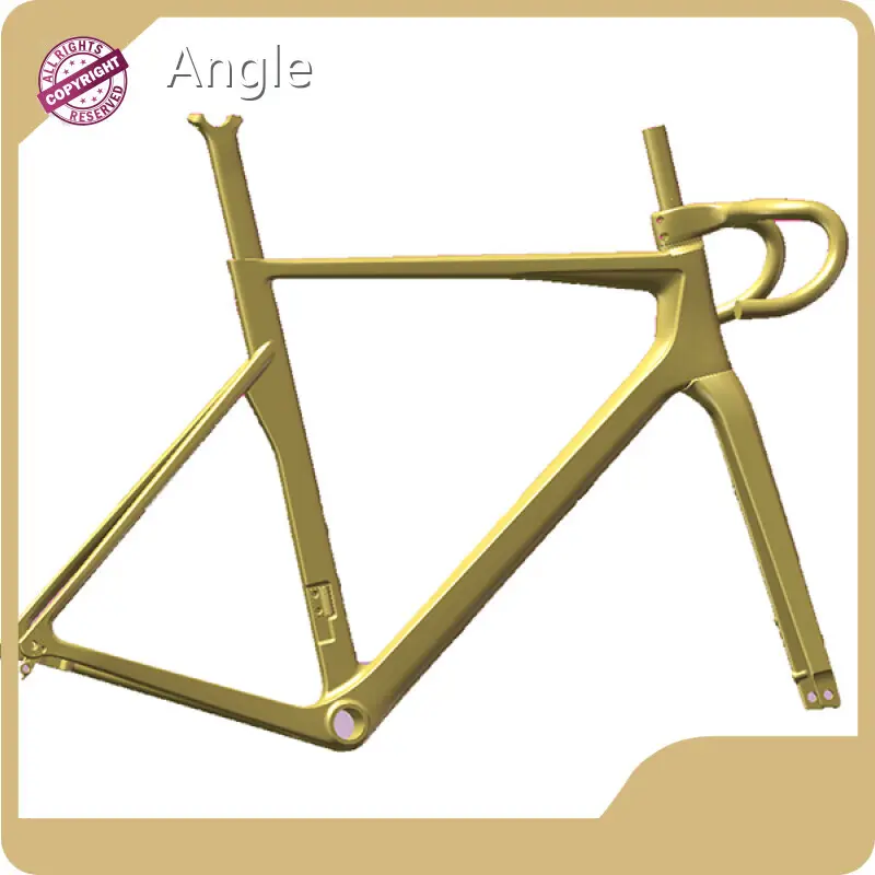 Carbon Fiber Bike Frame Mondince Manufacture 1