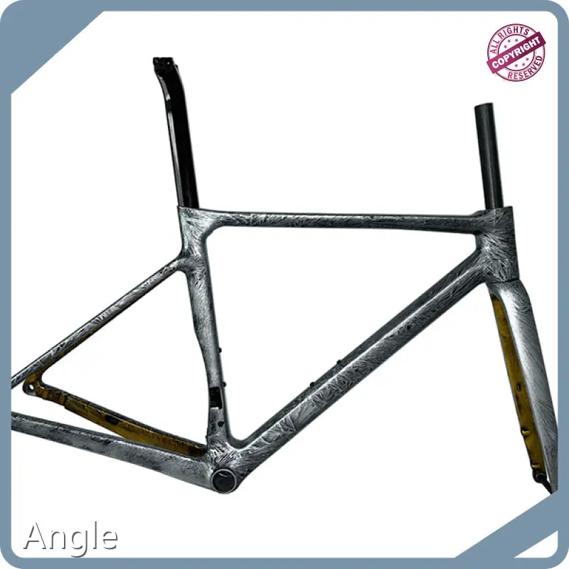 Custom Carbon Bike Frame Mondince 1