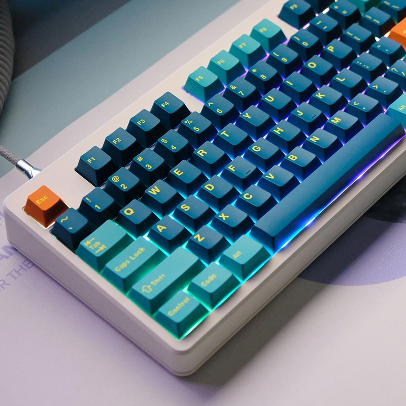 Custom 65 Custom Keyboard Tecsee 4