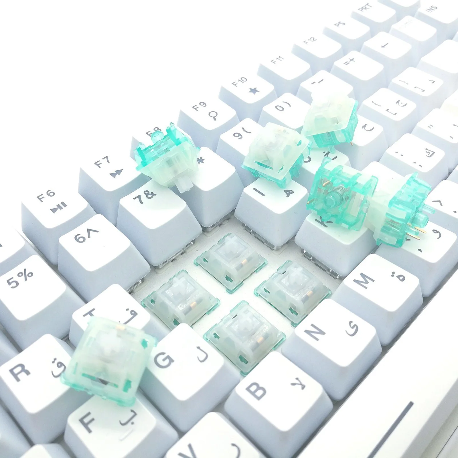 Tecsee Brand Keyboard Picture Supplier 5