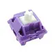 Pasadya nga DIY Switch Tecsee 3