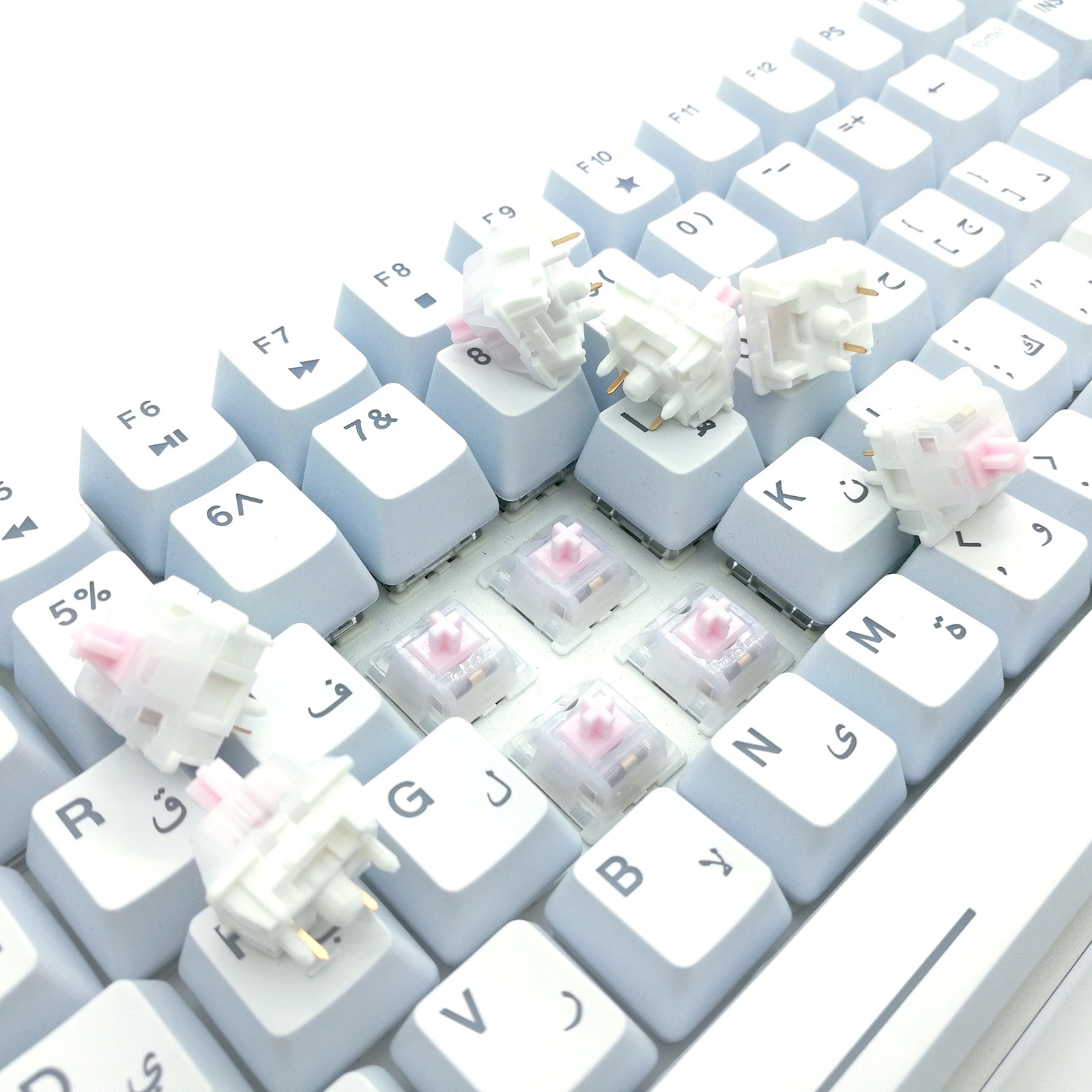 MX Switch Tecsee 8