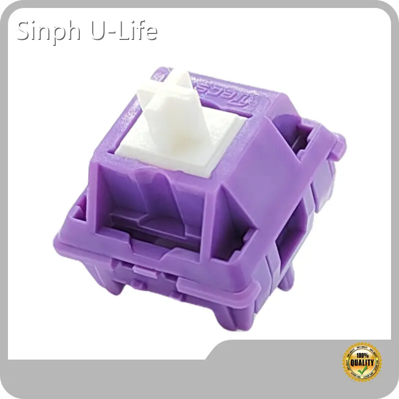 Pasadya nga DIY Switch Tecsee 1