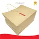 Hot Paper Tote Bags 0.2 (USD) Rodiant Brand 1