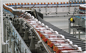 Transportadores basculantes utilizados para la producción de llenado en caliente con botella de PET y botella de vidrio - TECH-LONG