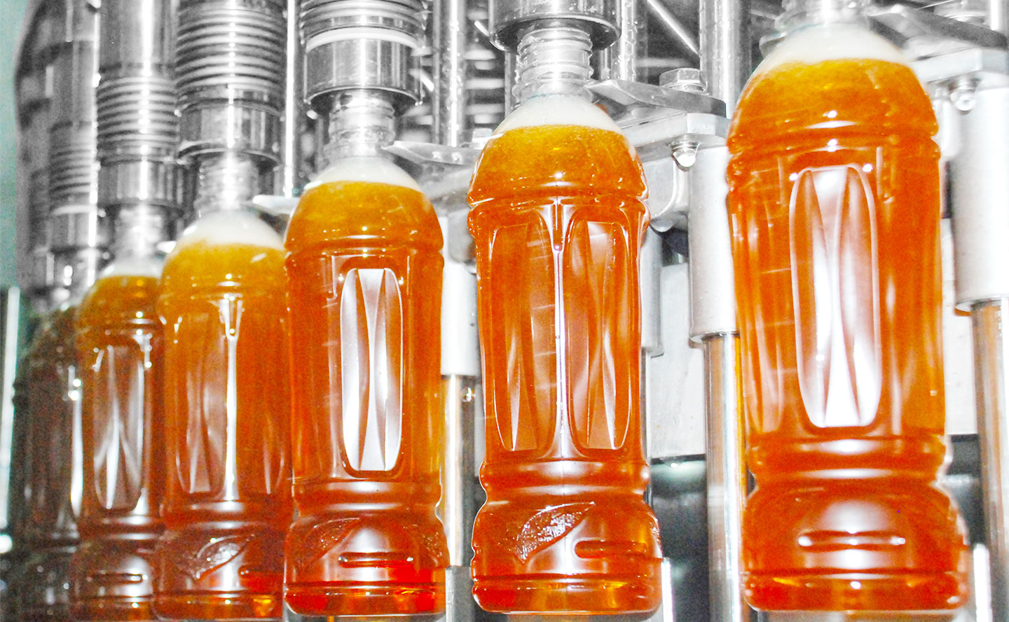 Máquina llenadora automática de botellas TECH-LONG 5