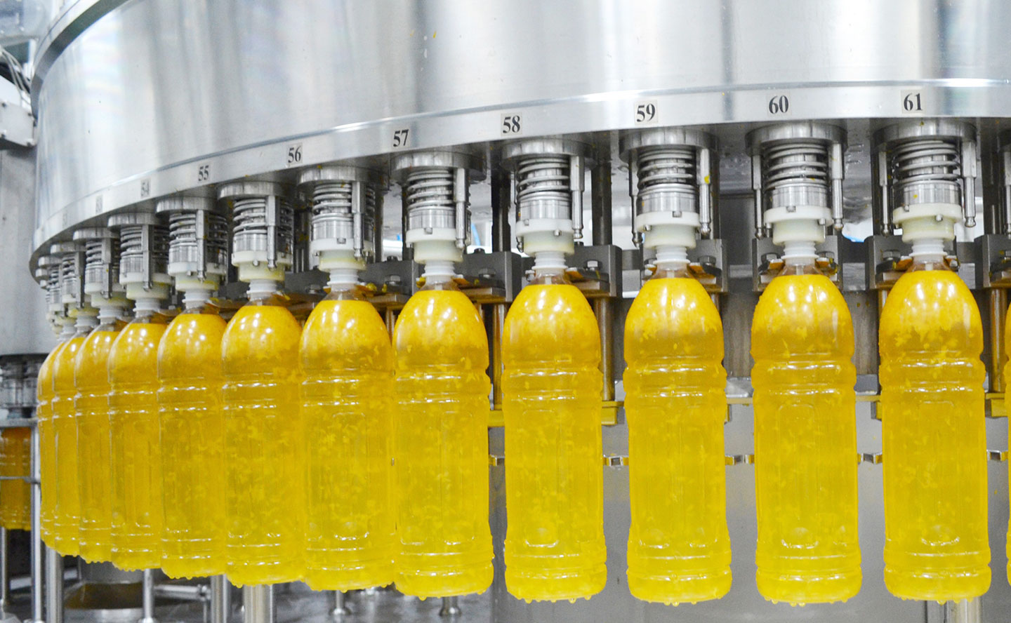 Máquina llenadora automática de botellas TECH-LONG 4