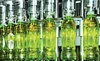 Máquina llenadora automática de botellas TECH-LONG 3