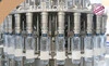 Fábrica de máquinas de llenado de bebidas al por mayor Marca TECH-LONG 1