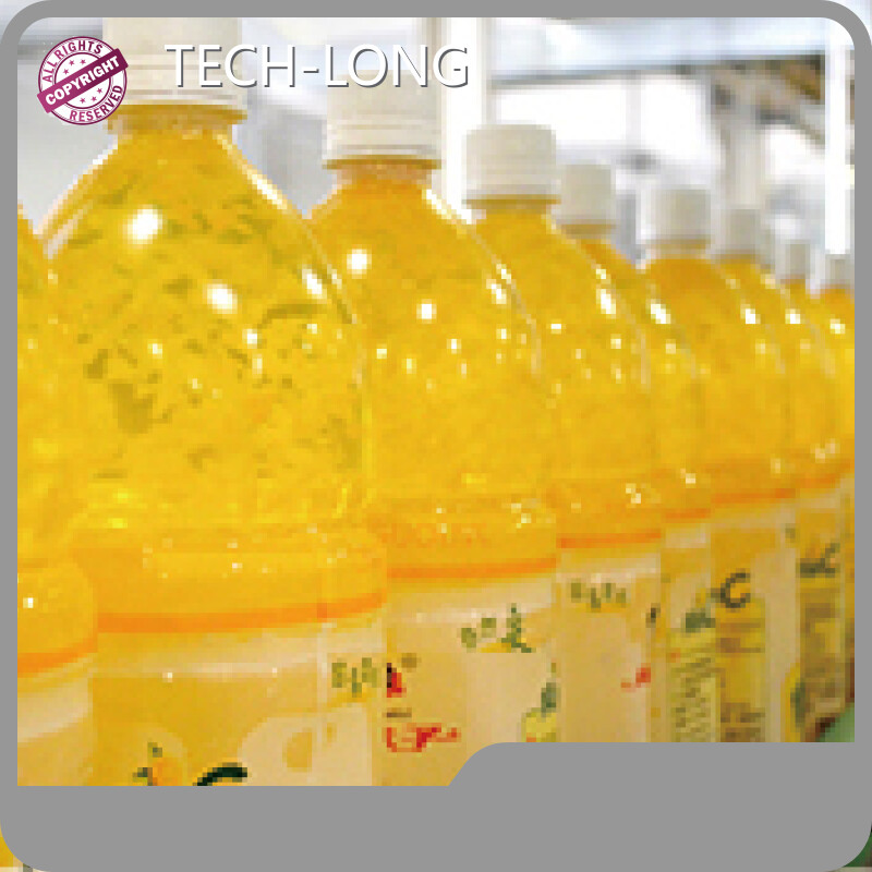 Sistemas transportadores de botellas al por mayor Marca TECH-LONG