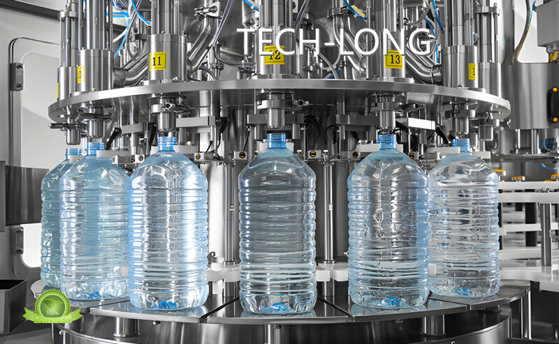Máquina llenadora de salsa TECH-LONG-1 1