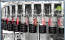 TECH-LONG Capsule Filling Machine Capsule Filling MachineCustomize 1