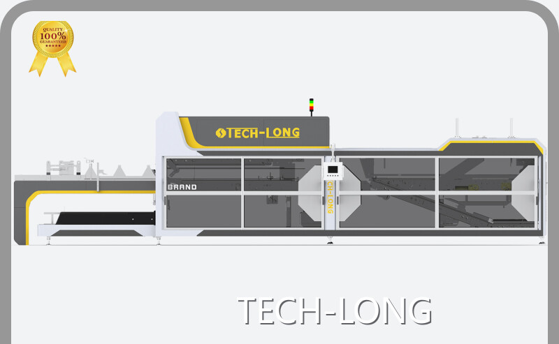 Máquinas envasadoras de polvo de TECH-LONG 1