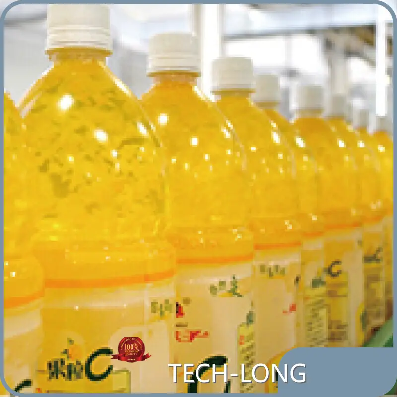 Conveying System Supplier - - TECH-LONG 1