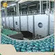 Automated Conveyor Systems by TECH-LONG 1
