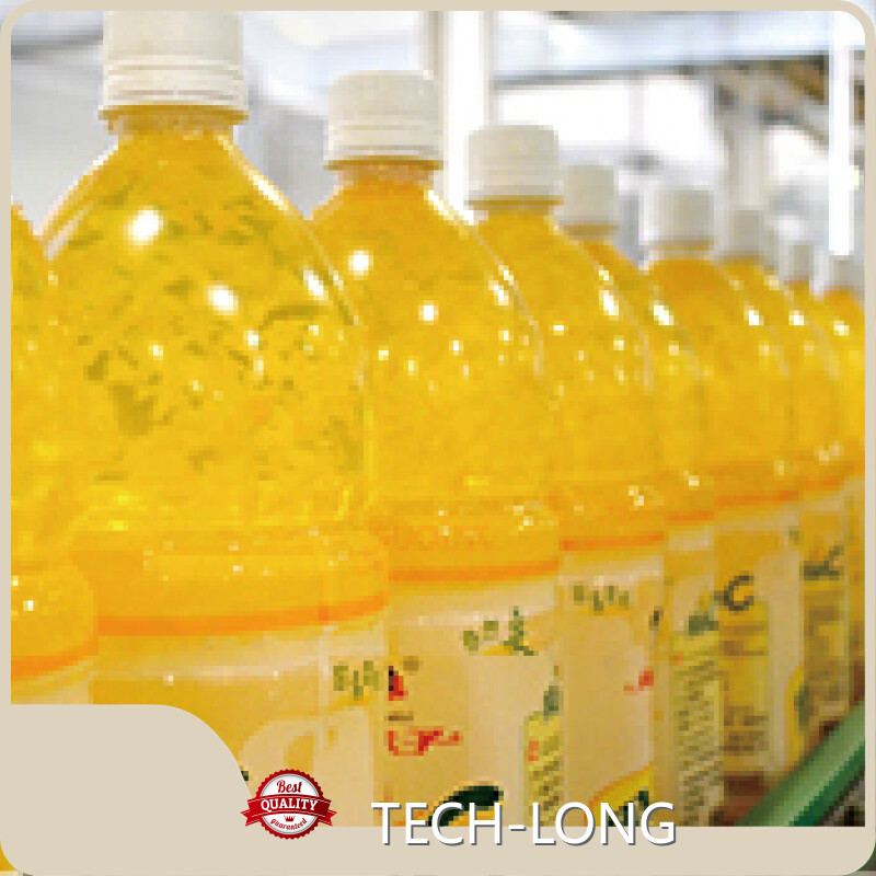 Soluciones de proveedores de sistemas de transporte TECH-LONG 1