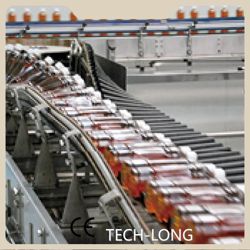 Best Quality Conveyor Systems Manufacuturer 1