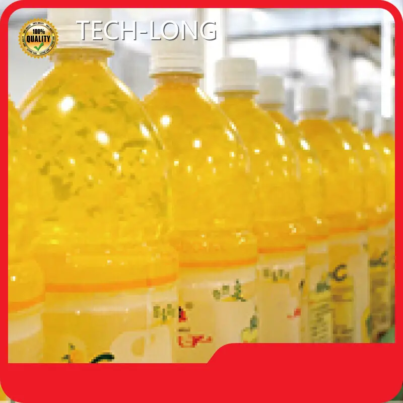 Conveying System Manufacturer by TECH-LONG 1