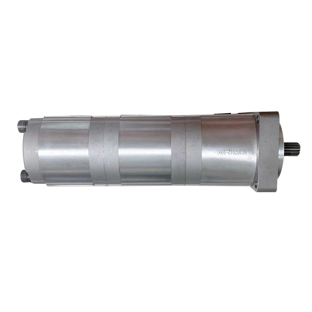 Hydraulic Vane Pump Manufacturers HENGTE, 4