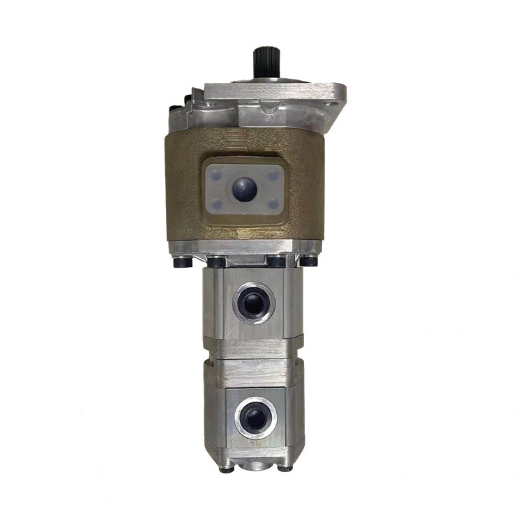 Gear Pump Supplier Brand Company 6