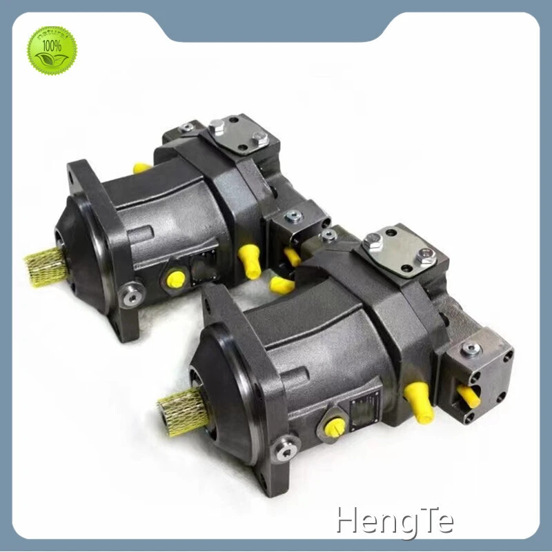 Rexroth Axial Piston Pump Brand Custom 1