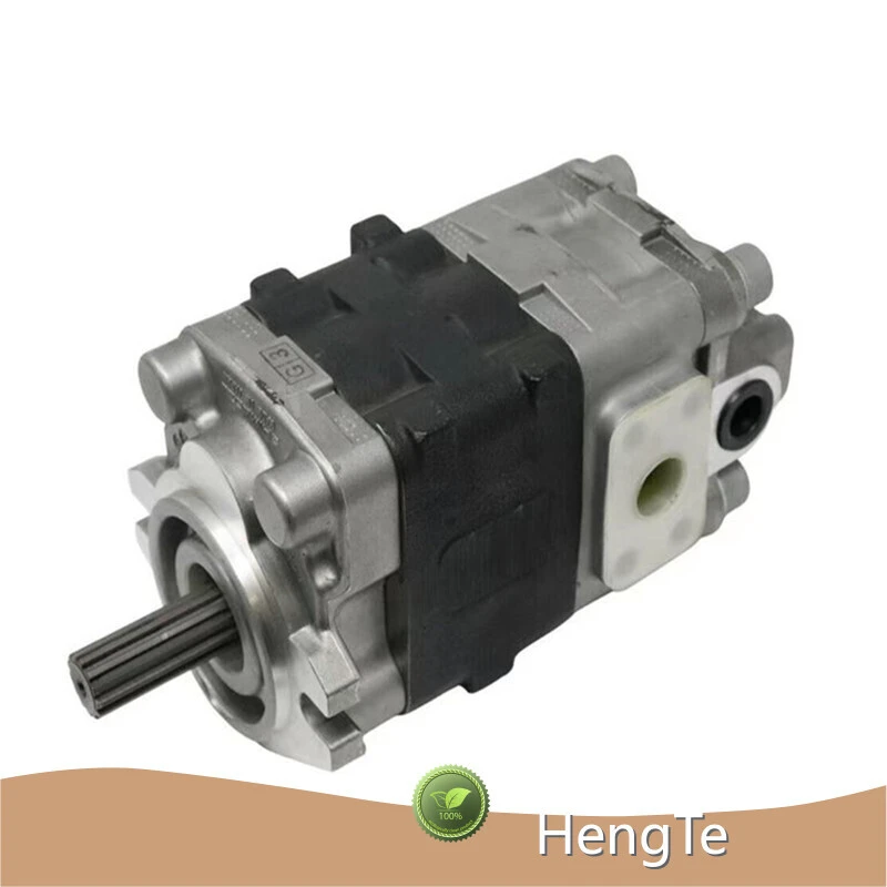 Brand Gear Pump Manufacturer Factory 1