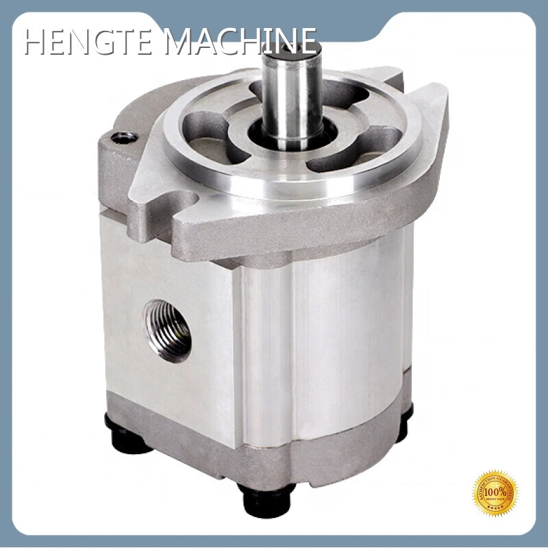 Danfoss Gear Pump HENGTE Brand 1
