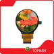 Quality TOPWIN Lcd Tft Touch Screen Brand 1