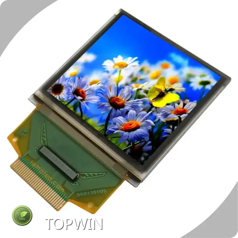 Oled Graphic Display Company for Handheld Terminals TOPWIN 1
