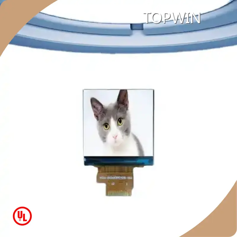 OEM Tft Lcd Display Panel TOPWIN 1