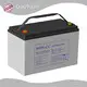 GuoYuan Sealed Rechargeable Lead Acid Battery 4v for Water Supply - Lead-acid Maintenance-free Battery 1