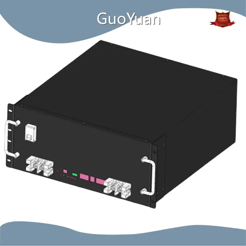 GuoYuan Bepoke 100ah Lithium Iron Battery Drip-dry Bulk Production 1