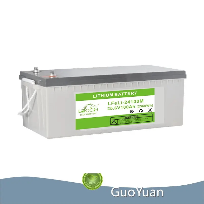 GuoYuan Wholesale Lithium Iron Battery for Workplace - Leoch 1