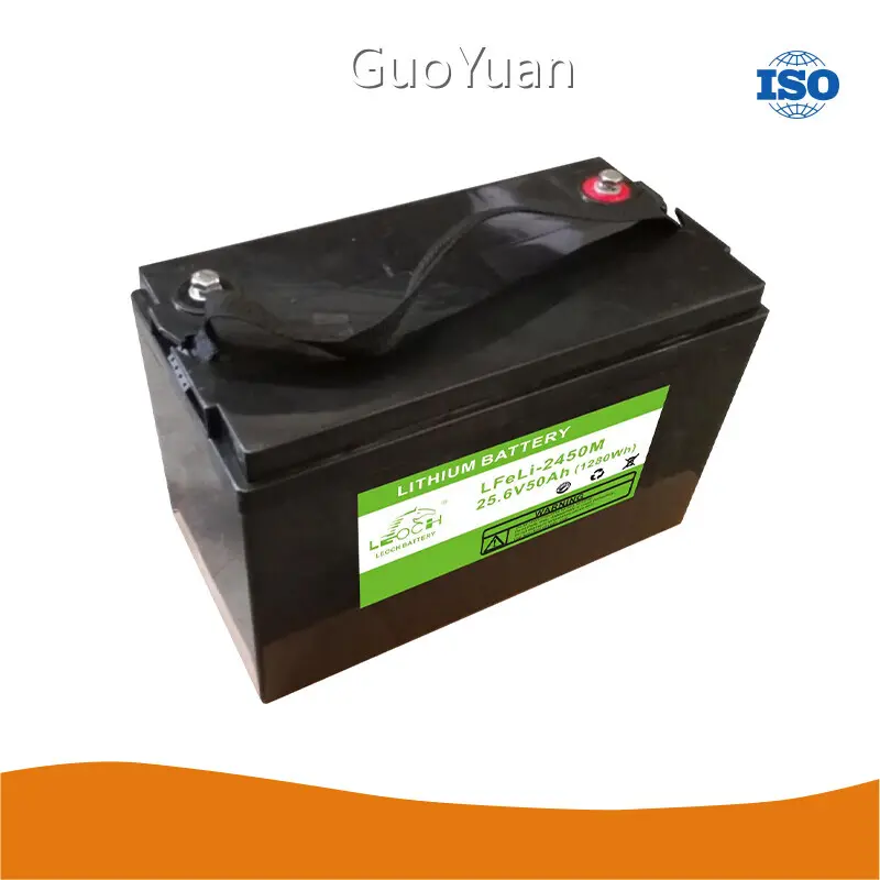 Custom Lithium Iron Battery for Solar LB-LFeLi-2450M-24V50AH GuoYuan LFP 1