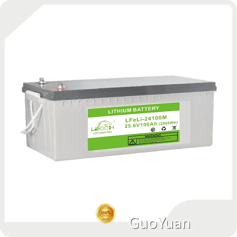 Lithium Iron Battery for Sale GuoYuan Brand,100% @0.5C 1