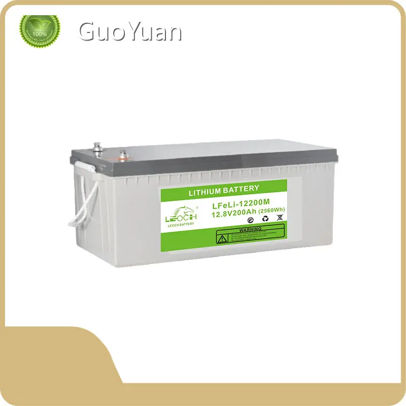 Lithium Iron Battery Supplier 24.20kg LFP Leoch GuoYuan Brand 1