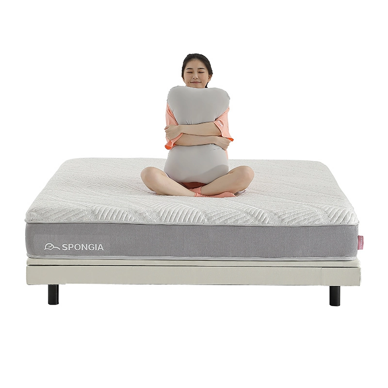 Sponge Queen/ King bedroom mattress Memory Foam Mattress  SP01 1