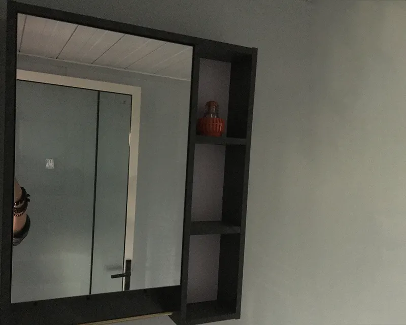 OEM Container Houses DXH 4