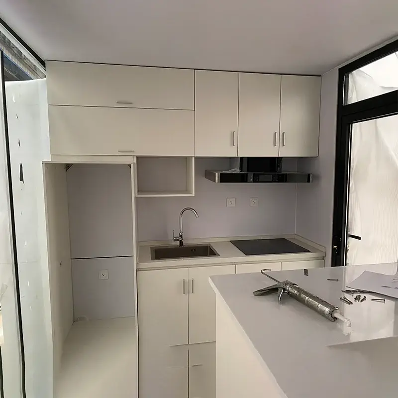 Prefab Container Homes DXHModernwith Custom Services 4