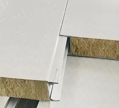 Fine Quality Eps Sandwich Panel with Custom Services | DXH 6